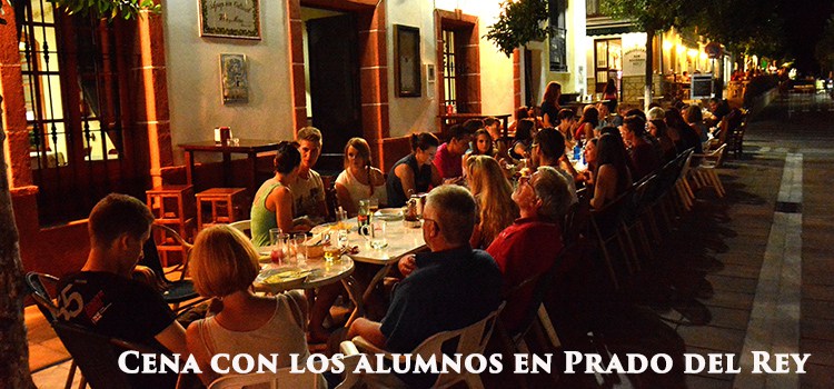  (image: https://hssm.hqedv.de/uploads/AcademiaPradoventura/Dinner-students-of-spanish-Prado-del-Rey.jpg) 